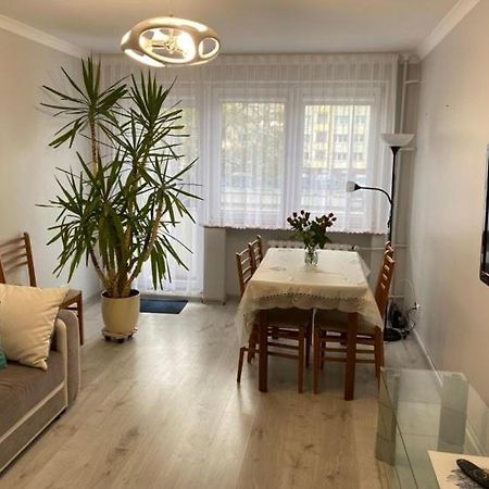 Apartament Przy Katedrze ゴジュフ・ヴィエルコポルスキ エクステリア 写真