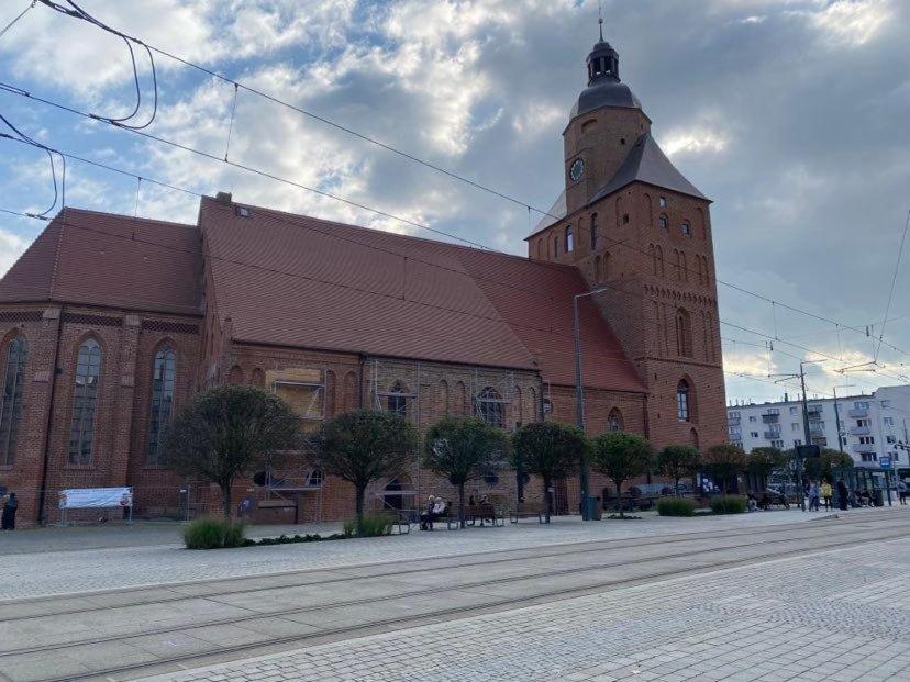 Apartament Przy Katedrze ゴジュフ・ヴィエルコポルスキ エクステリア 写真